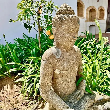 Solar Do Monte 6 阿尔布费拉