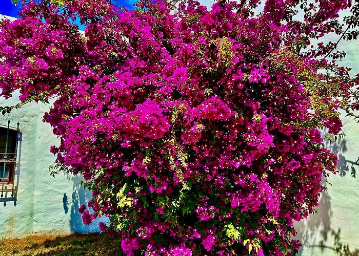 Solar Do Monte 6 Daire